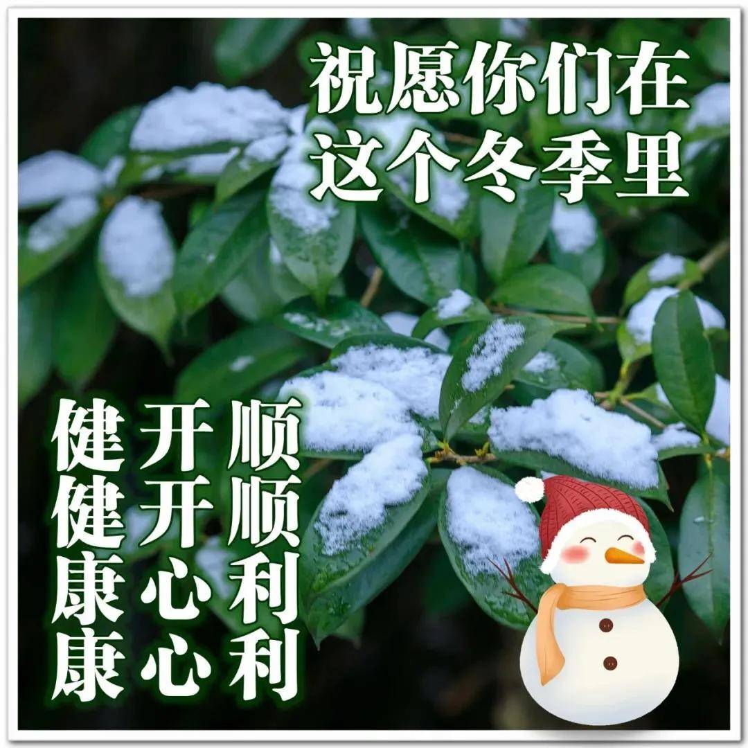 寒冬祝福语图片图片