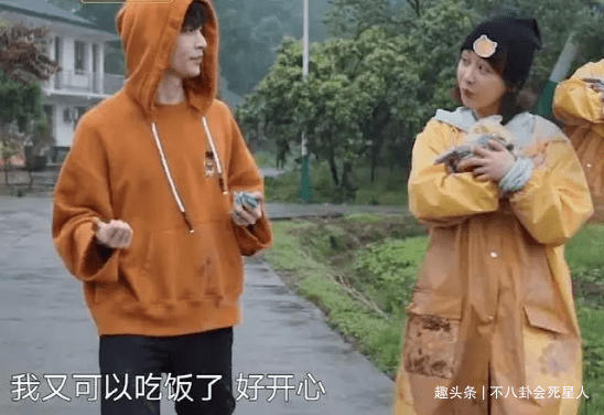 现实|杨紫一人录三期,11个小艺人录一期,《向往》揭露红与不红的现实