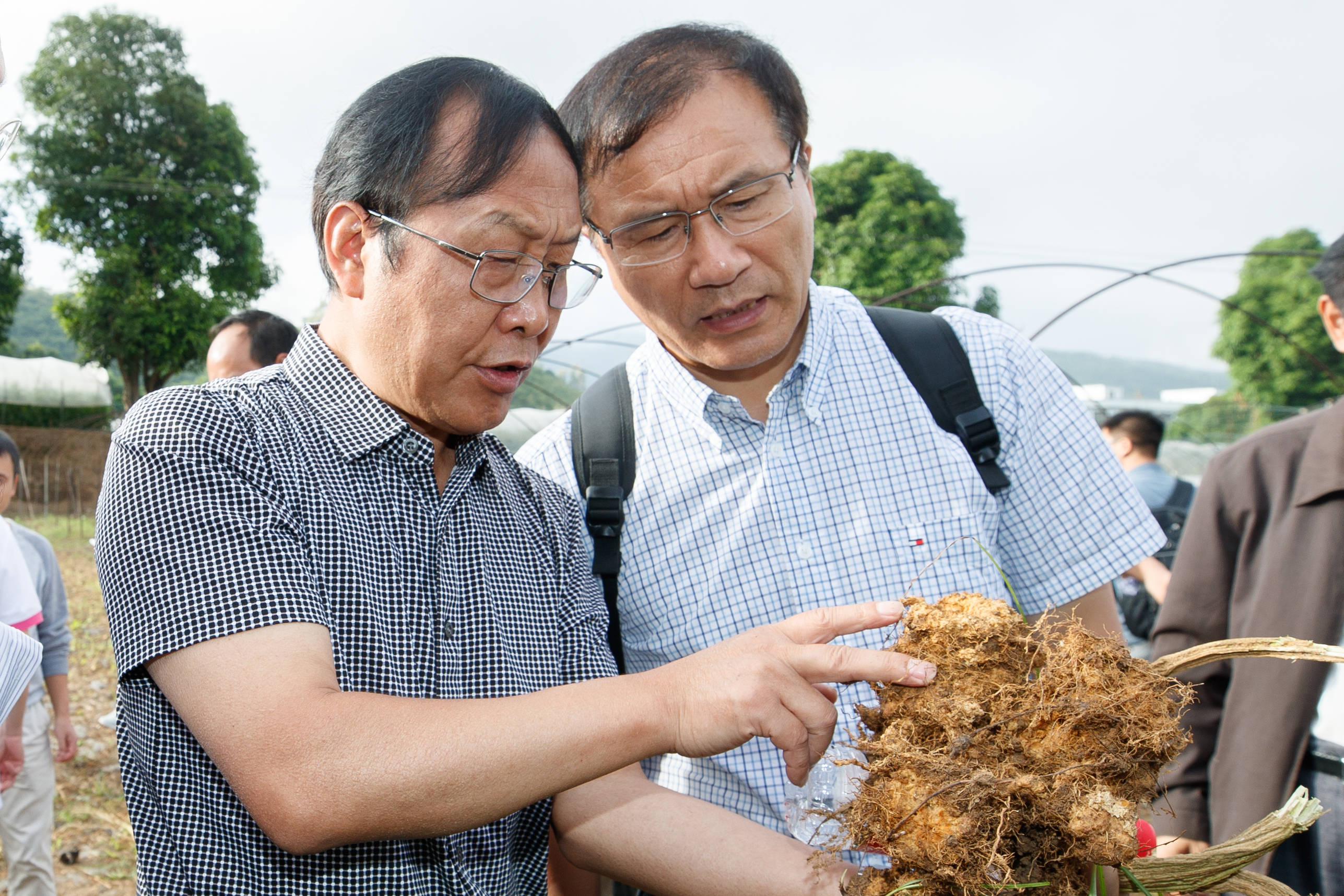 贵州人张克勤当选中科院院士