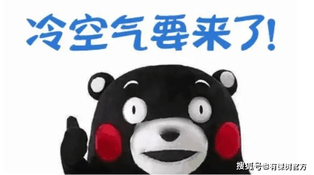 女士秋衣秋裤品牌排行_2021秋衣秋裤十大品牌排行榜中国十大秋衣秋裤品牌排行榜