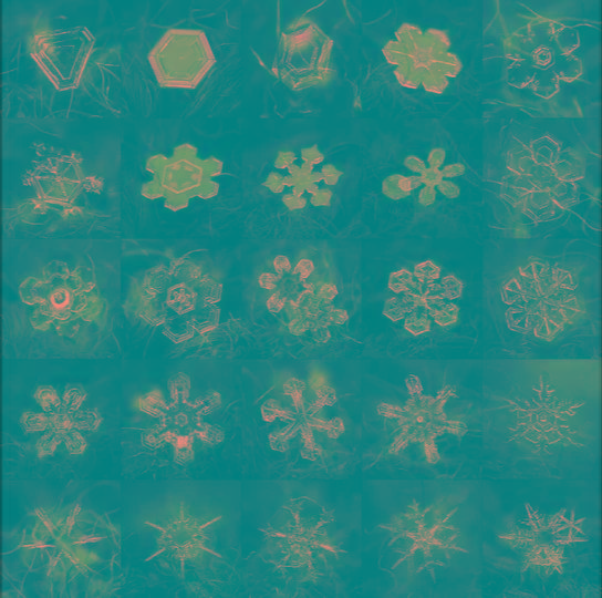 雪花|新一轮冷空气来袭，关于雪的"冷知识"你需要了解这些！