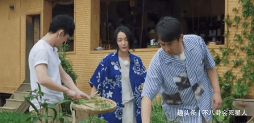 现实|杨紫一人录三期,11个小艺人录一期,《向往》揭露红与不红的现实