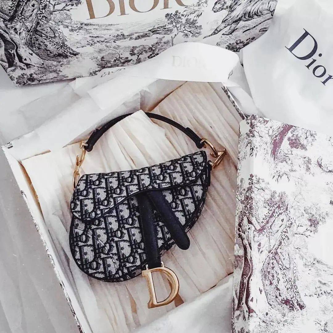 Dior马鞍包，怎么这么多款？_刺绣