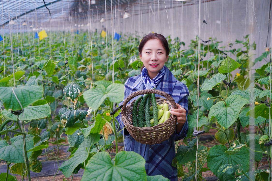 水果|冬季京郊游玩新方式，住民宿可免费采摘有机蔬菜和草莓