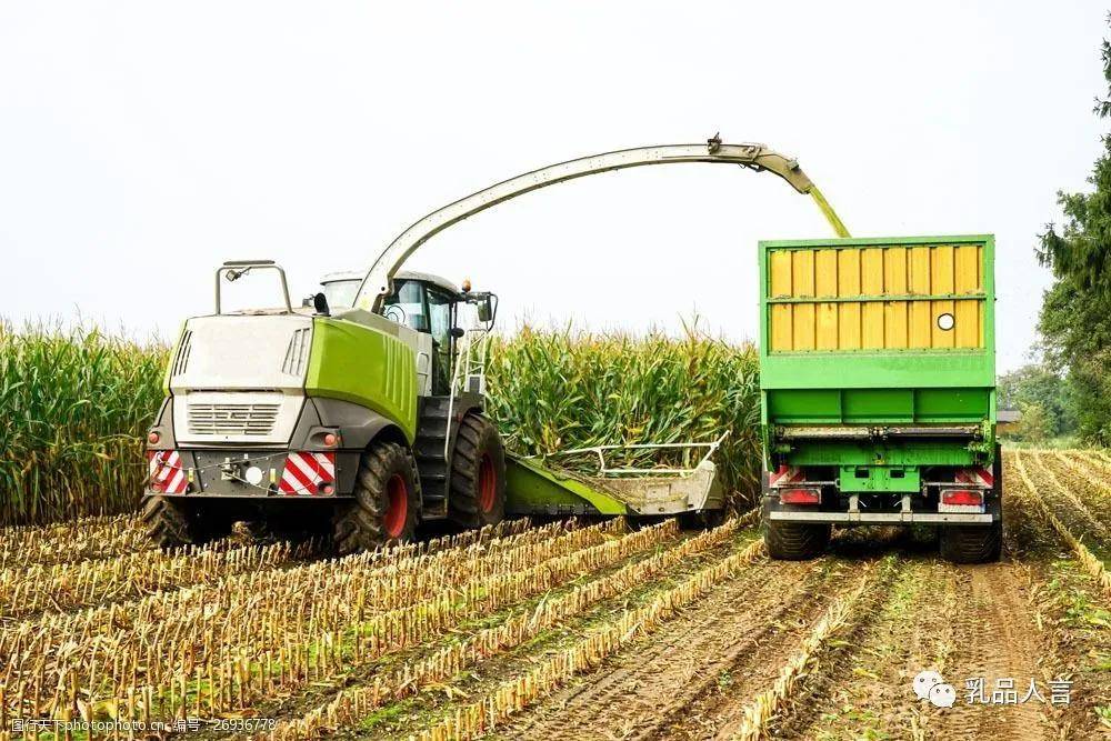 主产区|11月份饲料两次三番上涨！