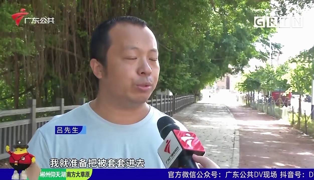 钱想|想钱想疯了？孩子棉被已用三年，才发现风干的蝙蝠，男子向幼儿园索赔两万元