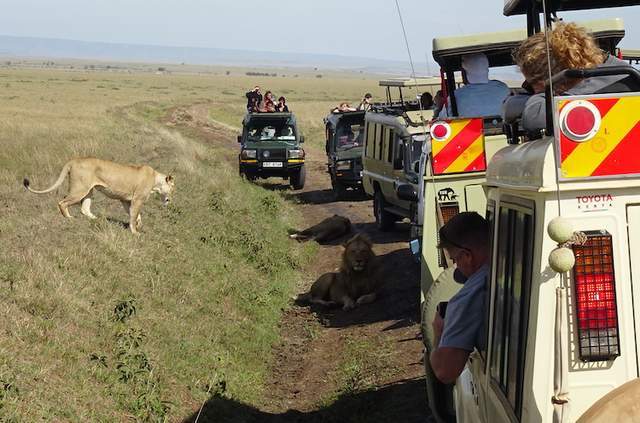 野生动物园|肯尼亚Safari精选 拍摄于2021年11月