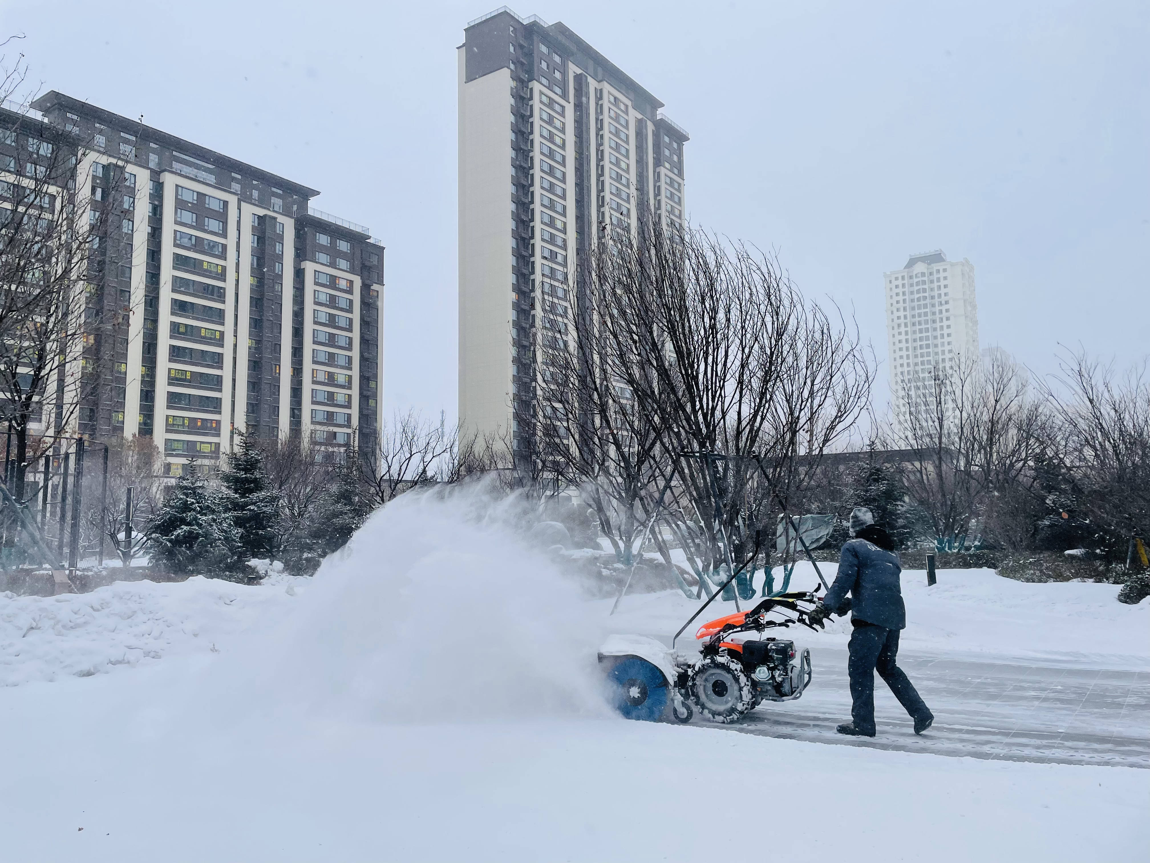 哈尔滨万名物业人清雪6000余万平方米
