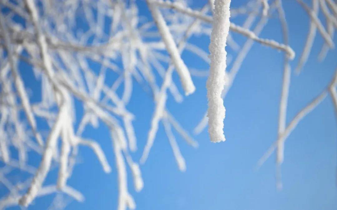 愿君|小雪节气 | 小雪忽至，万物冬藏，愿君多珍重！