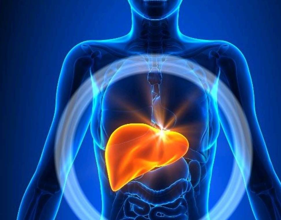 吃什么东西可以减少脂肪肝 e75c10a47f9540db986273fbc9452de9.jpeg