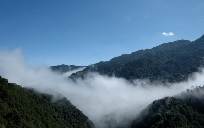 解析4名地質考察隊員失聯哀牢山到底是一座什麼樣的山