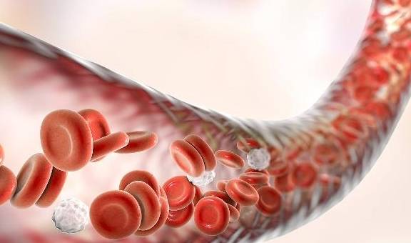 因为|将红薯当早餐的人，身体悄悄发生了这些变化，看完相信你会爱上它