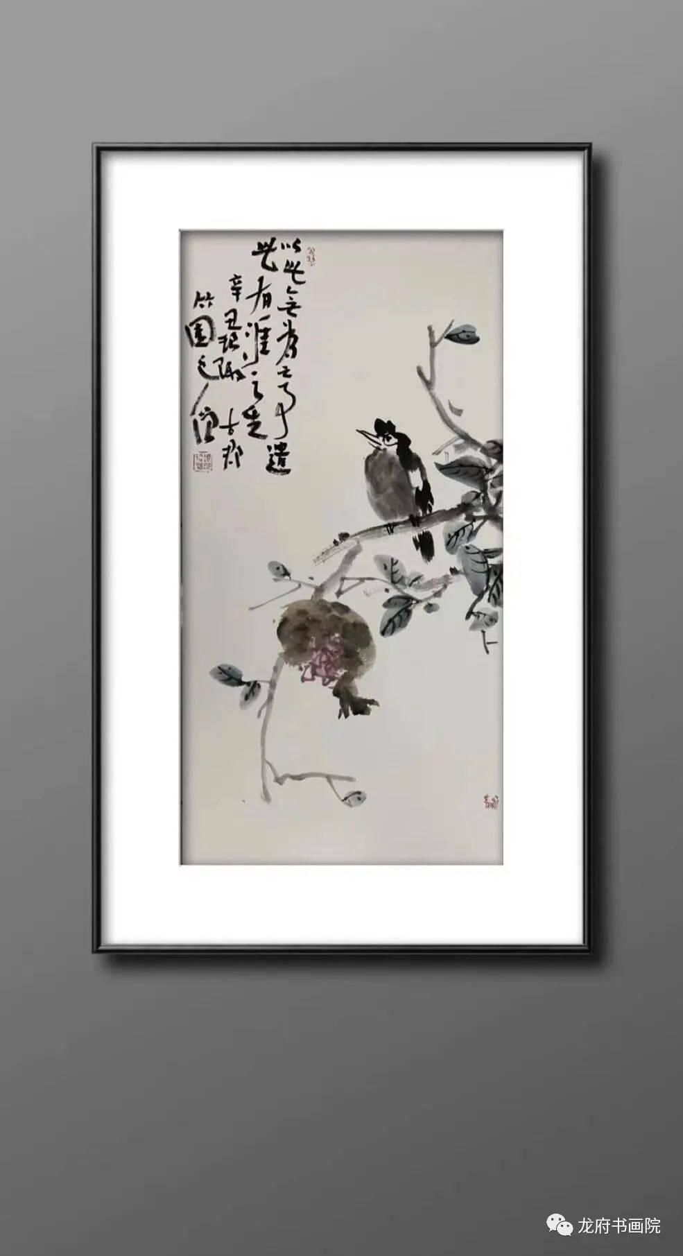 从近僧老师火爆的网络班招生谈起