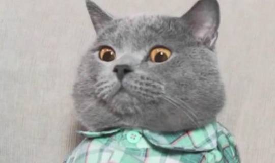 老公|每日一笑:朋友聚餐,谈到老婆这个话题,我实在控制不住自己!