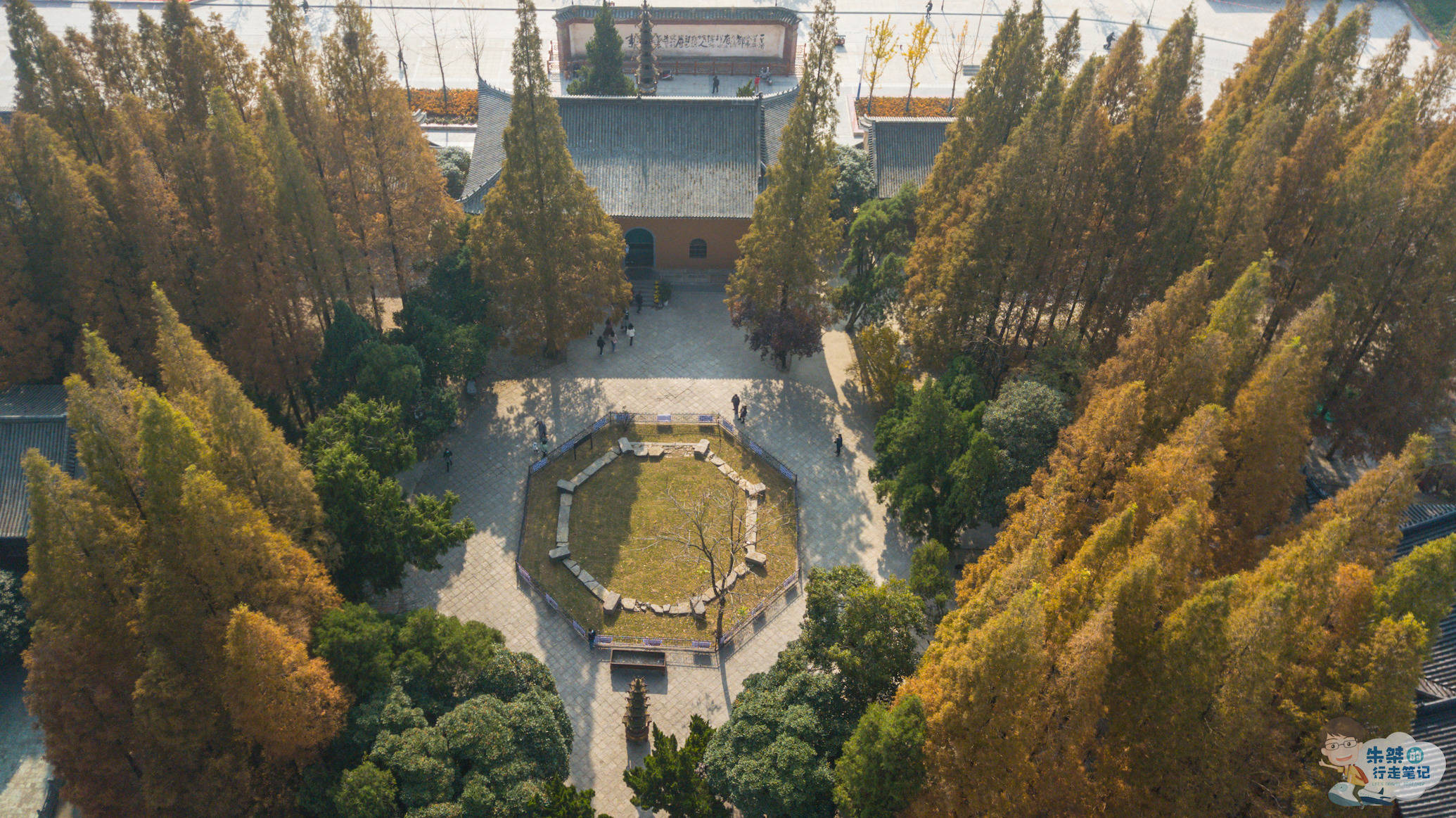 禅寺|安徽最美银杏观赏地，1300年银杏惊艳世人，曾为国家级博物馆所在地