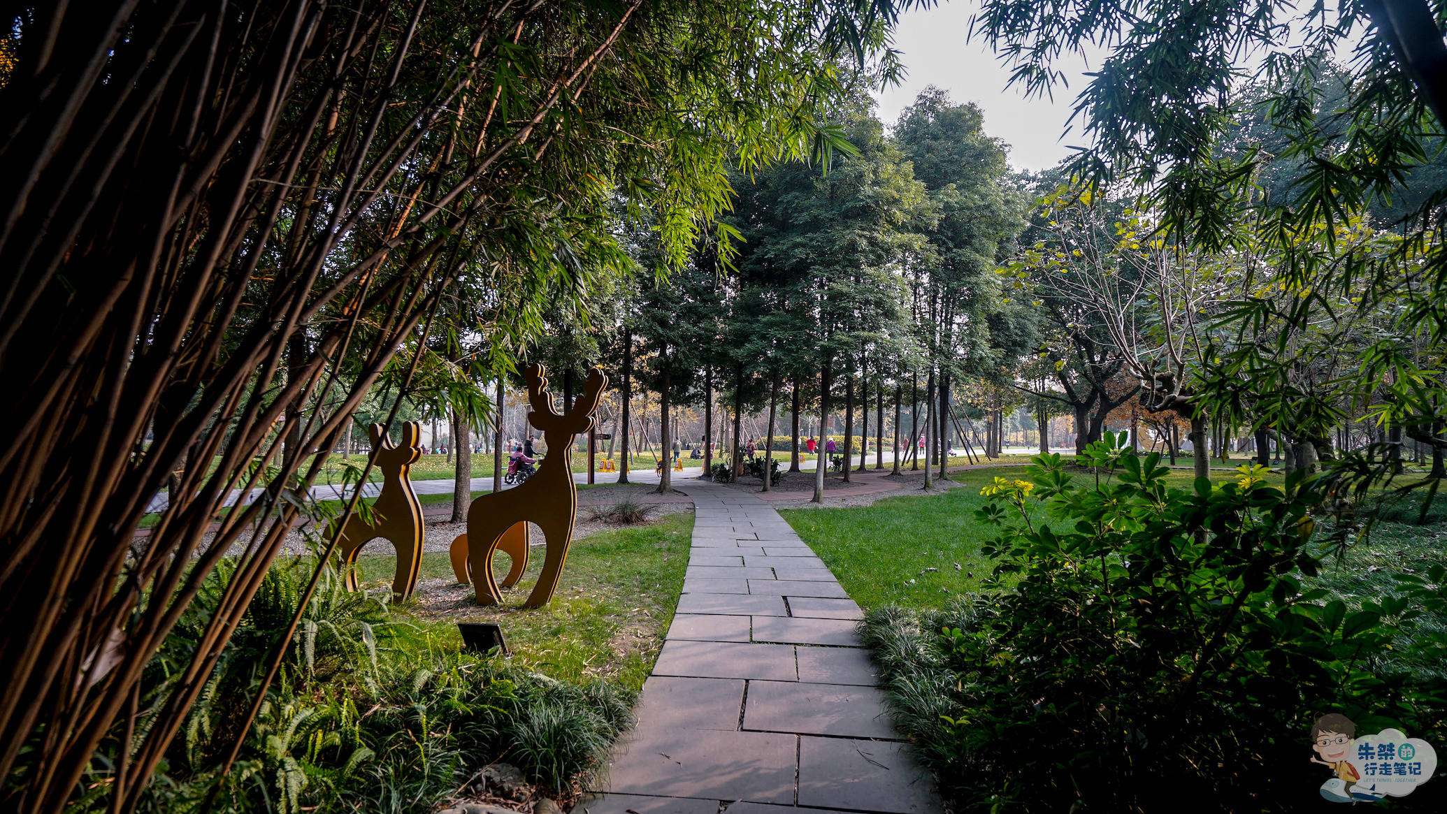 原創成都這幾個免費公園集美景與人氣於一體看看有沒有令你心動