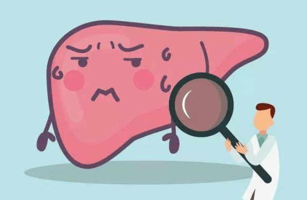 肝脏|养肝就是养命！这4个坏毛病中年男人再戒不掉，肝脏迟早要报废