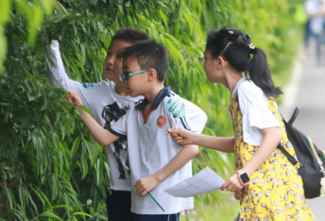 零花钱|教育部规定，中小学将不再提供此项服务，家长不反对还很支持