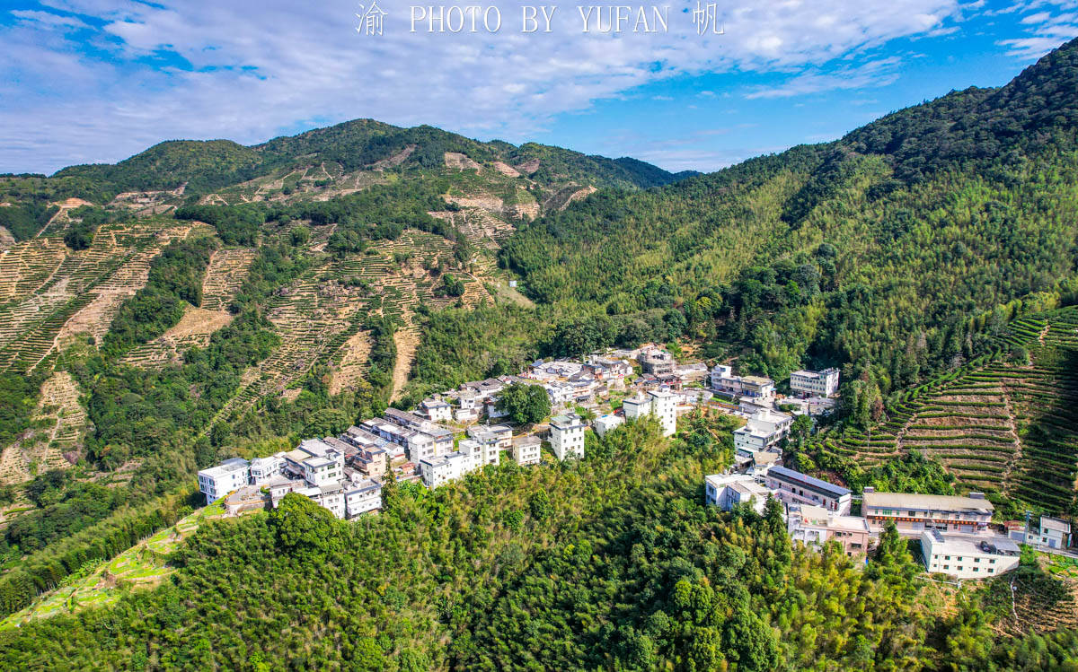 叶子而|藏在粤东大山里的世外桃源，形如山中半岛，村民因一片叶子而致富