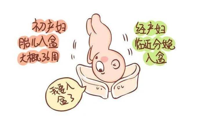f52eee5e398d42c3b89b2b18ef871c10.jpeg