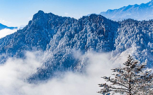 治疗|渐冻症的生存期可以延长吗 ？