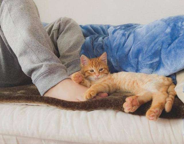 小猫被困积雪喊“救命”，暖男花3小时救猫，猫：都怪你动作太慢