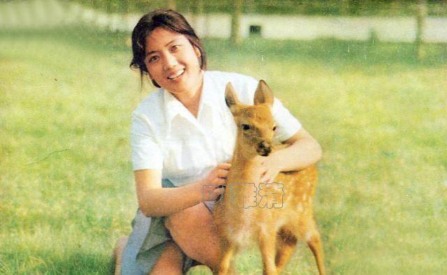 因为|李秀明近照 昔日当红女星 唐国强老搭档 如今65岁 女儿长得