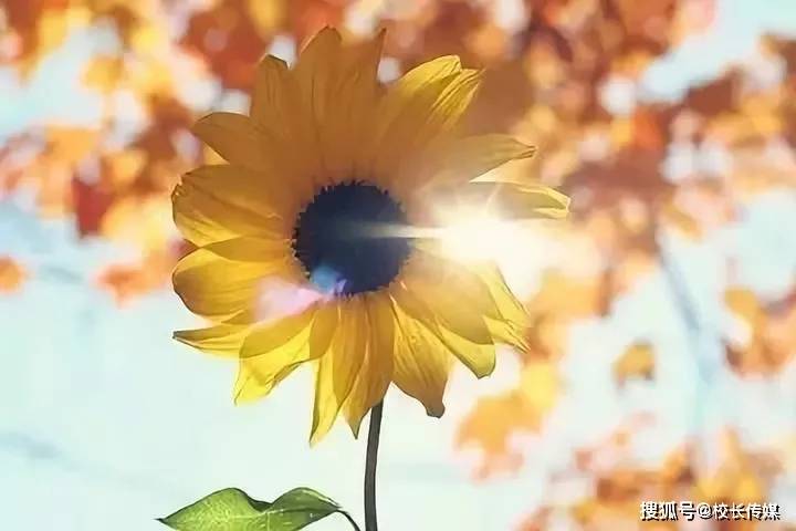 家长|于漪：现在的孩子为什么缺乏幸福感？