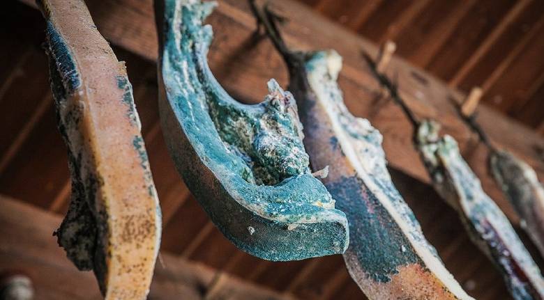 进行|肝不好时，可能有“3黄2臭”的表现，远离“4怕”，肝会一天天好