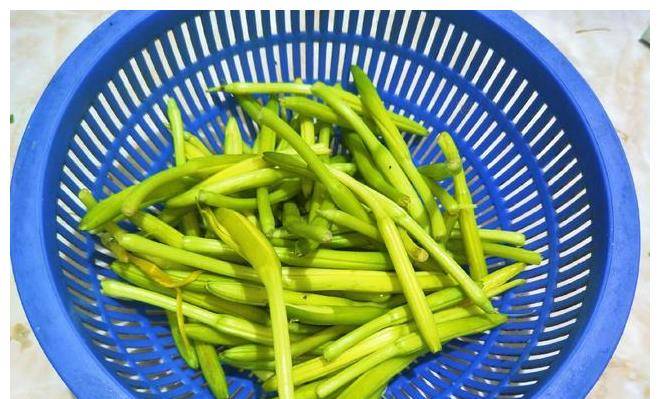 黄花菜是花又是菜 可不能随便吃 教你正确吃法 营养美味 美食做法 大广生活网