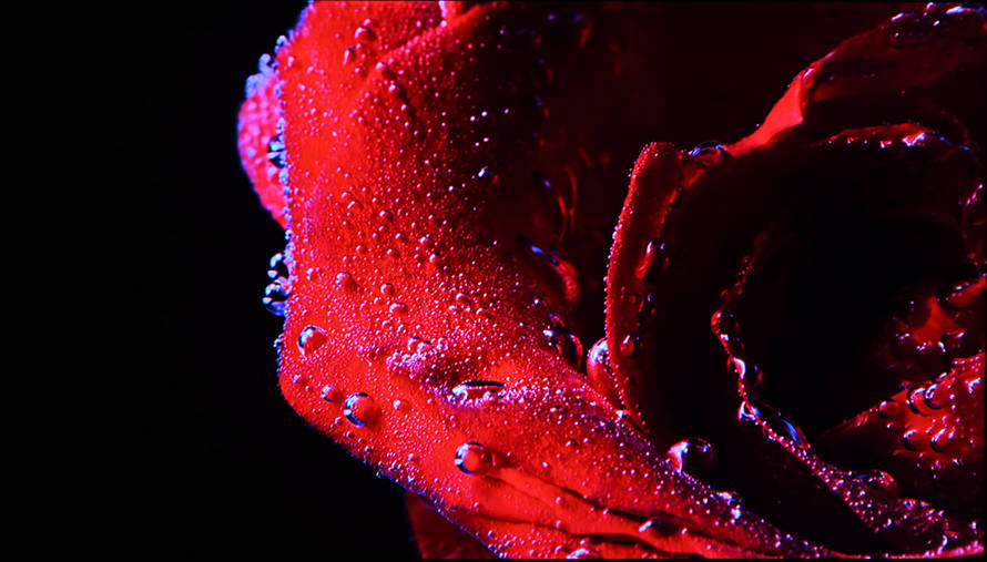 TCL 98Q6E巨幕电视评测，98英寸大屏电视的高性价比之选