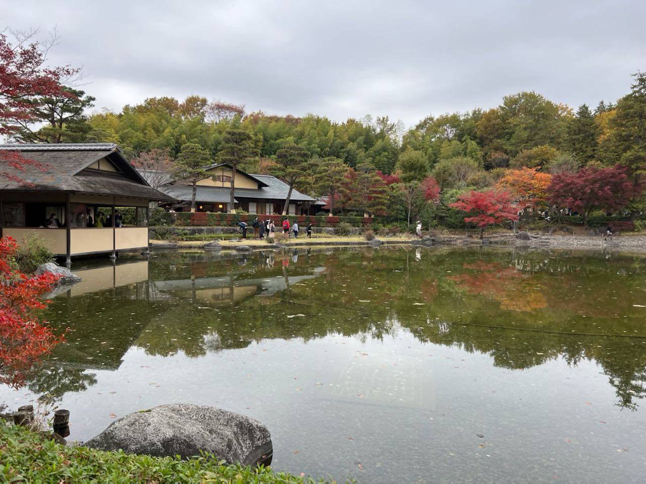 深秋无情却有情国营昭和纪念公园游记