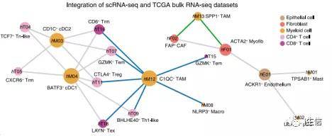 分析方法|单细胞测序之细胞互作_类型