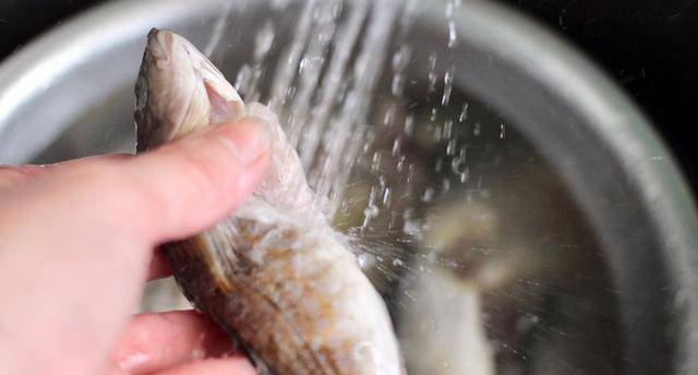 小鱼怎么处理内脏最干净 f6b72f5ffbff435788c4400c4aae4a8b.jpeg
