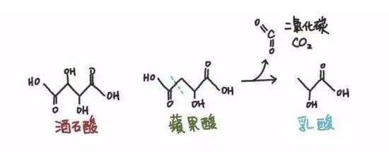 果香|【齐韵红酒小课堂】品酒师口中的“结构平衡”到底指什么？