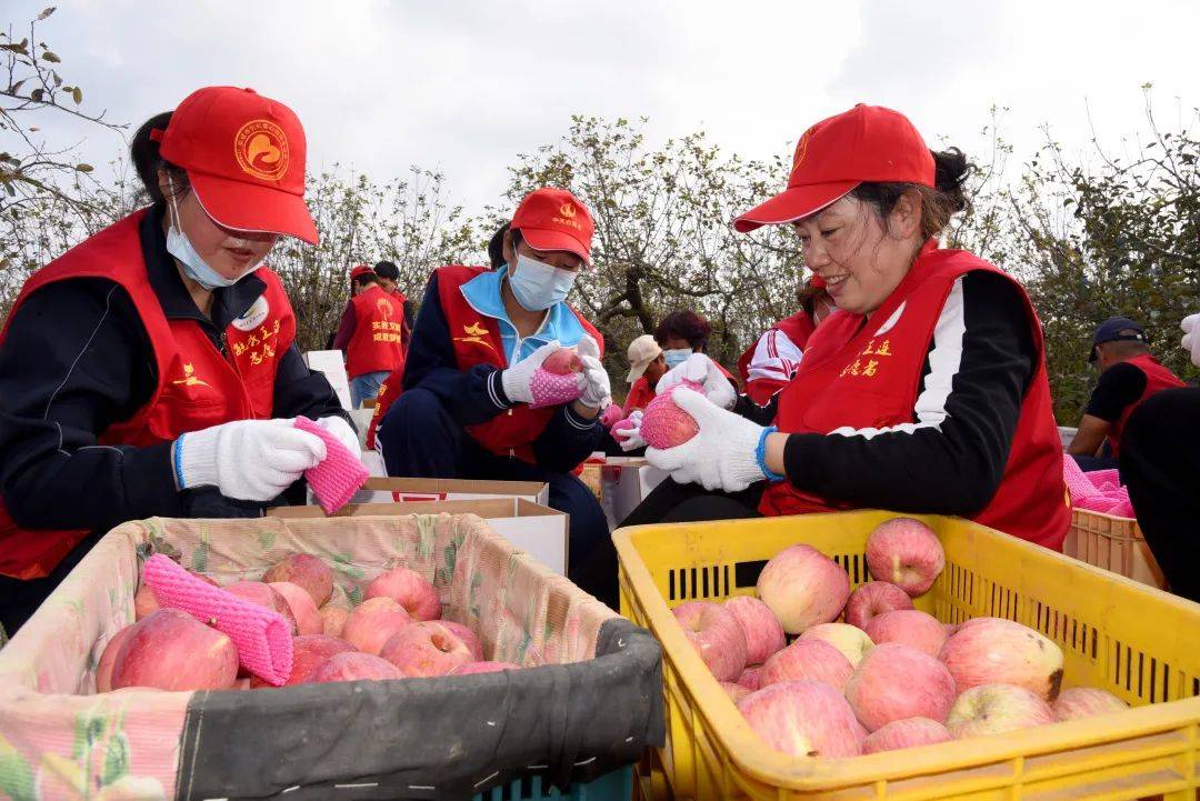 汇聚公益力量助力共同富裕吻路举办爱心助农活动