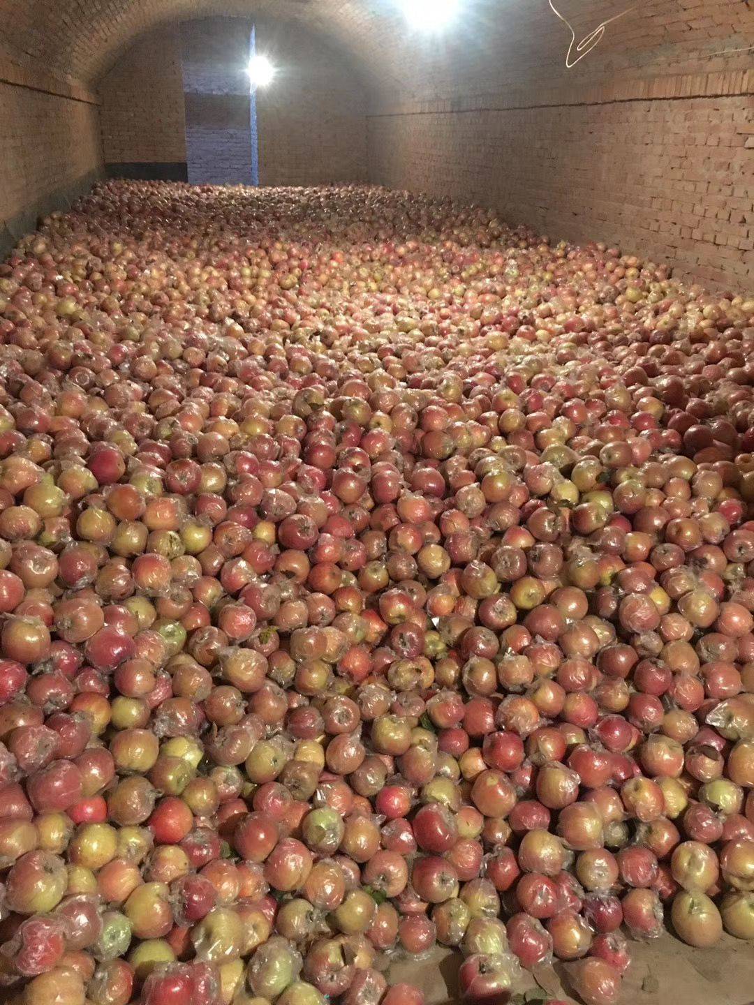 一个山西娃的苹果梦