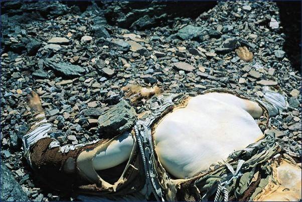 珠峰上的死尸图片图片