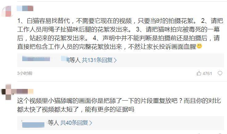 热播剧《当家主母》虐猫事件,孰真孰假?_拍摄时毒死真猫?当家主母剧组