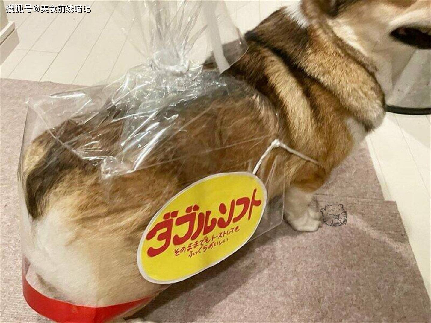 面包伪装成吐司的柯基犬和外观如柯基屁屁的面包，你喜欢哪个？