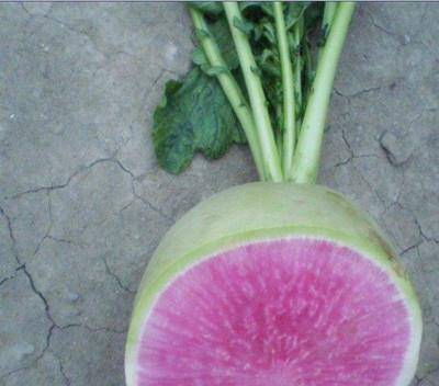 02669a96d1ac4909ab0ab21b90a2c78b.jpeg