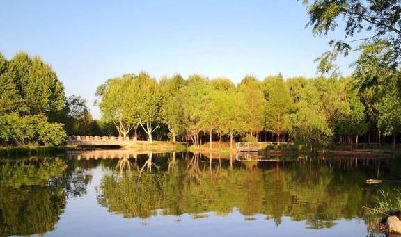 郑州“巨无霸”公园走红，面积是绿博园的两倍，号称“城市绿肺”