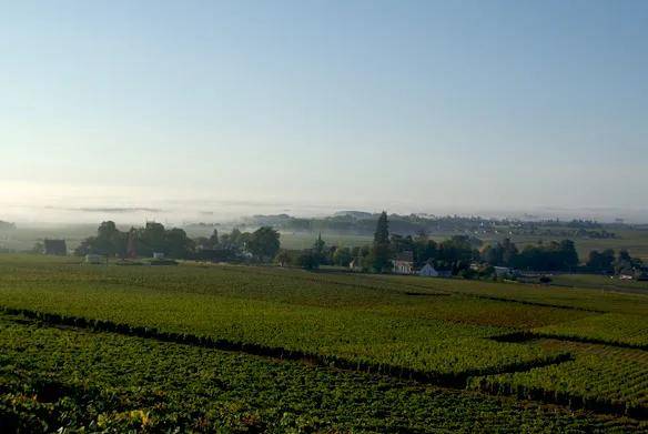 巴洛米洛|勃艮第精品家族酒庄,安慕父子&泊索父子,巴洛米洛&文森特吉拉丹!