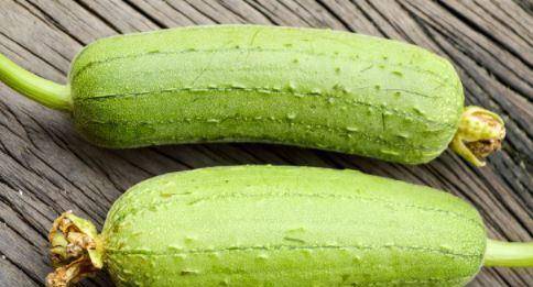 什么时间种丝瓜 f363cc60880f4204a6fc2b4ae4e9021e.jpeg