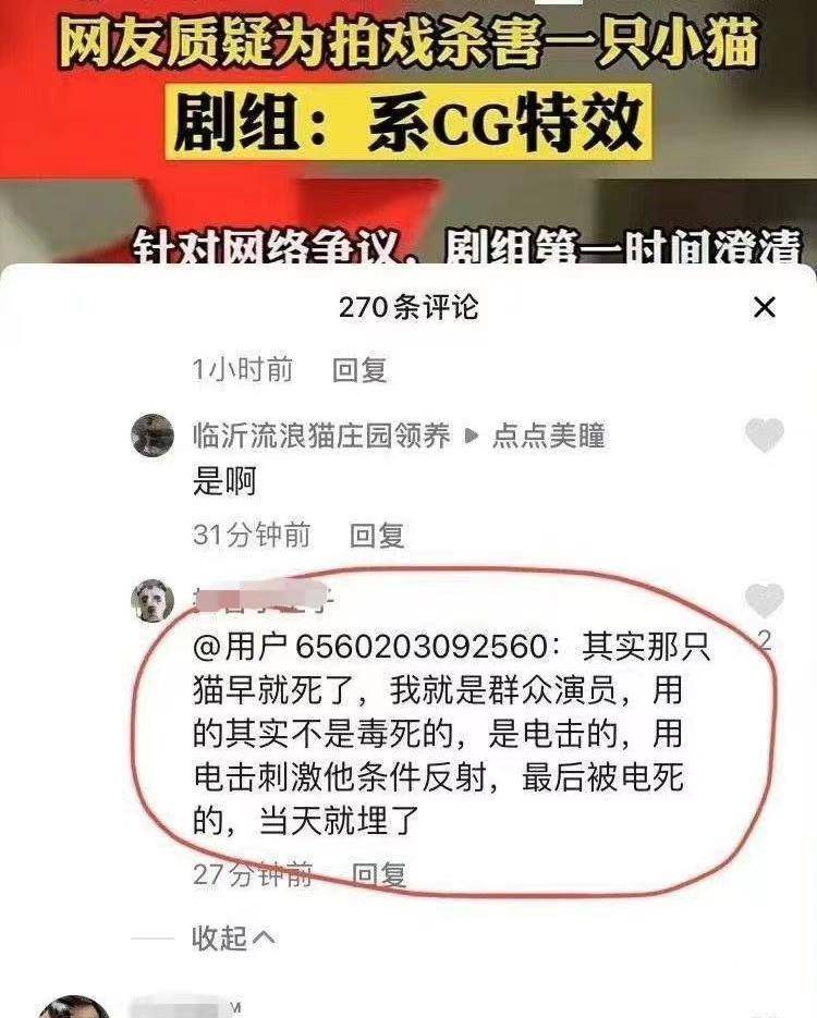 蒋勤勤|这届网友不好哄，《当家主母》已报案，澄清视频却搞错了猫的性别