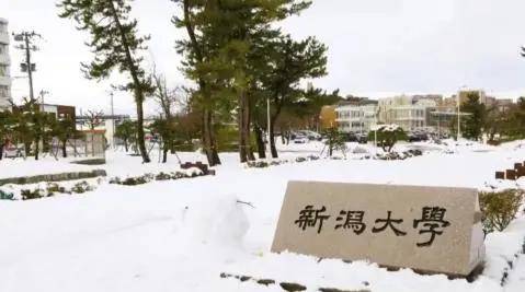 足迹|日本新潟大学：追寻川端康成的足迹 在雪国找到属于自己的浪漫