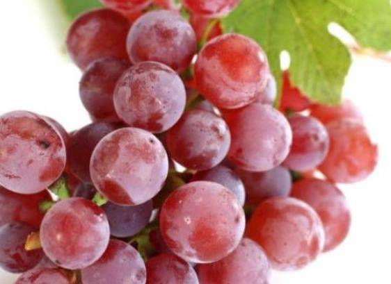 吃什么药不能吃葡萄 55a7d8736e104b7081b68b73957cf80f.jpeg