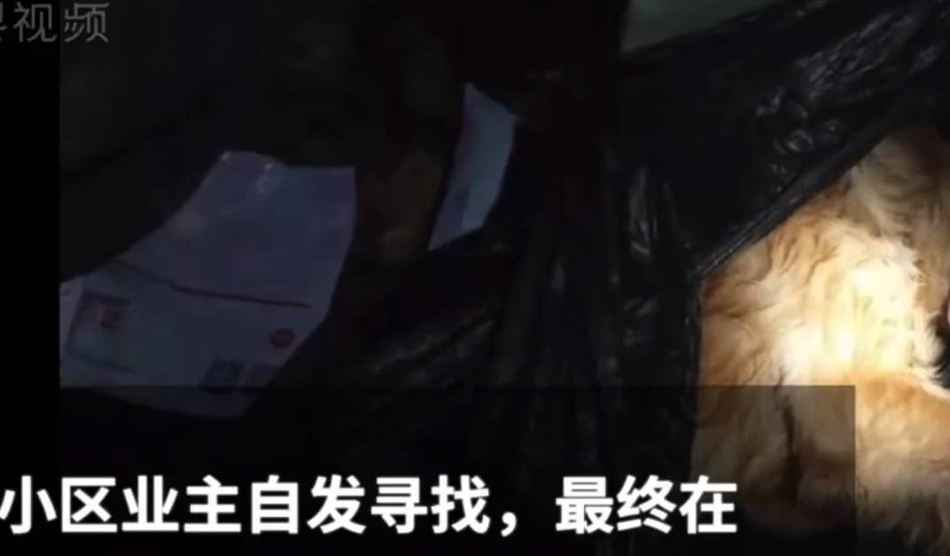 醉梦迷途，解读梦见自己喝醉了酒不知道回家的潜台词
