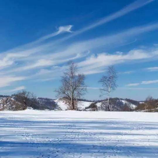 白雪|冬日里的“关山蓝”