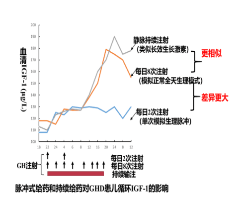 生长激素开启周治疗时代